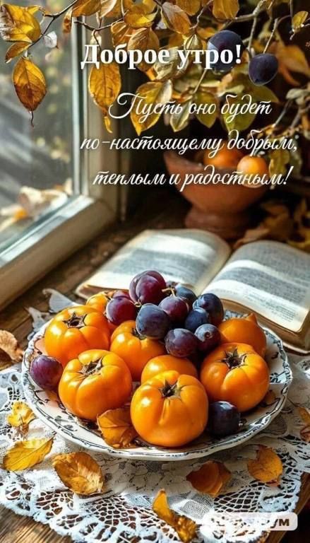 Доброе утро! Пусть оно будет по-настоящему добрым, тёплым и радостным!