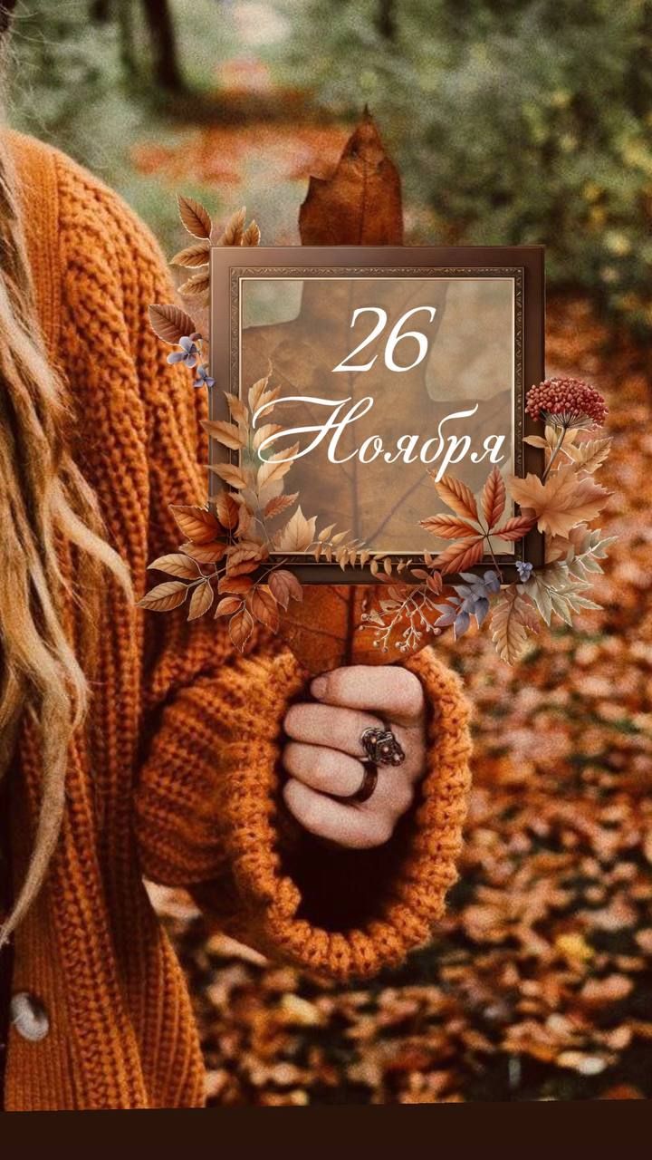 26 Ноября