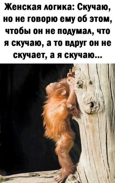 Женская логика: Скучаю, но не говорю ему об этом, чтобы он не подумал, что я скучаю, а то вдруг он не скучает, а я скучаю...