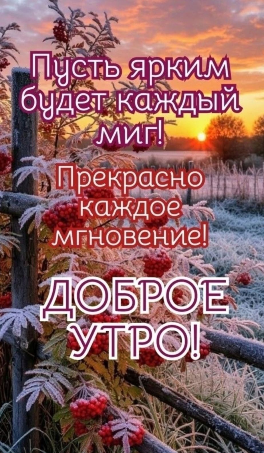 Пусть ярким будет каждый миг! Прекрасно каждое мгновение! ДОБРОЕ УТРО!