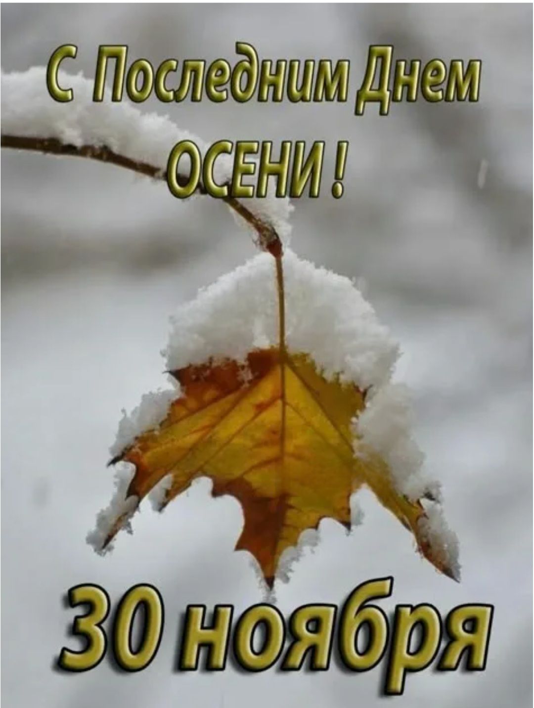 С Последним Днем Осени! 30 ноября