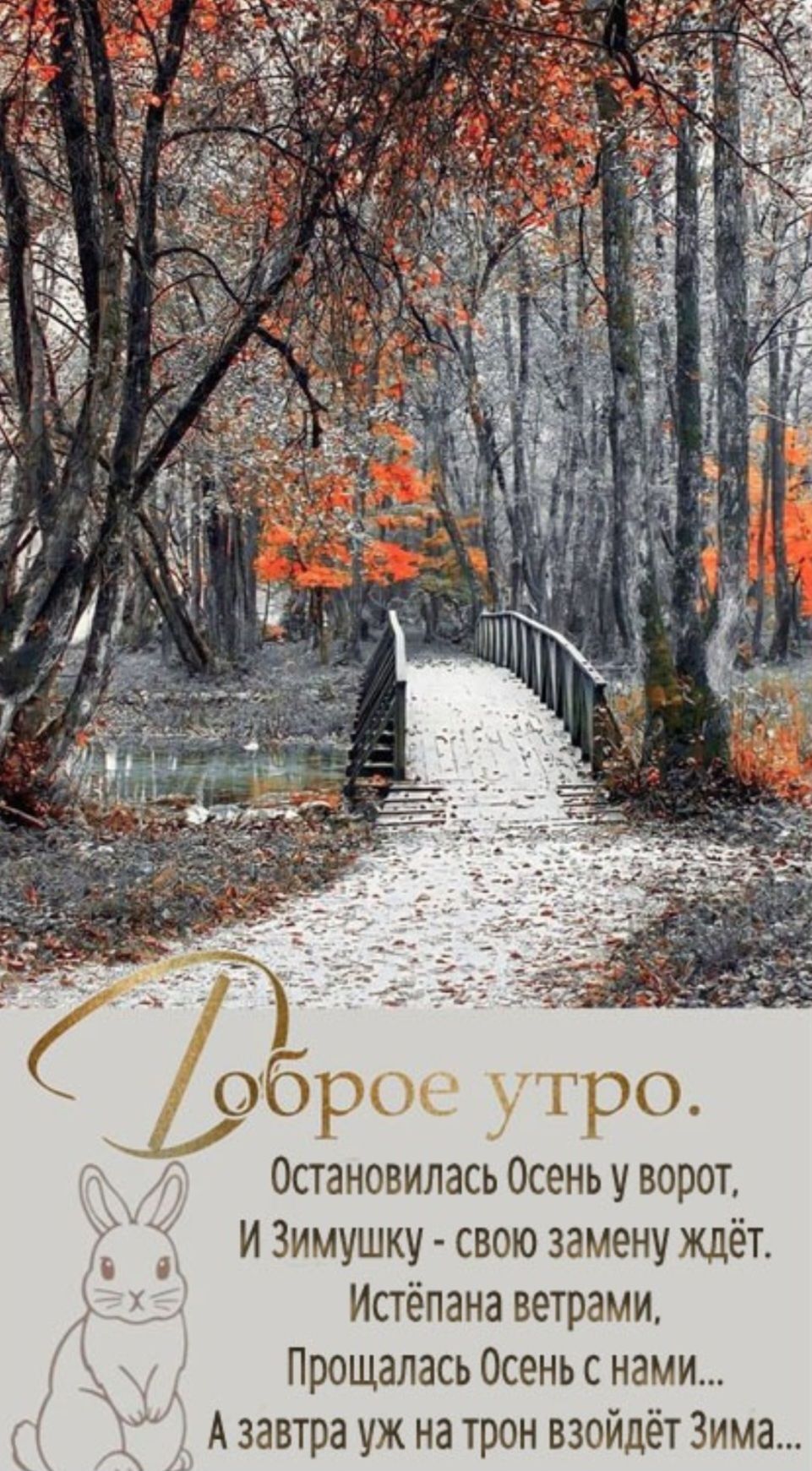 Доброе утро.
Остановилась Осень у ворот,
И Зимушку - свою замену ждёт.
Испытана ветрами,
Прощалась Осень с нами...
А завтра уж на трон взойдёт Зима...