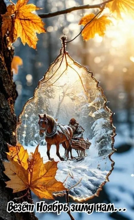 Везёт Ноябрь зиму нам...
