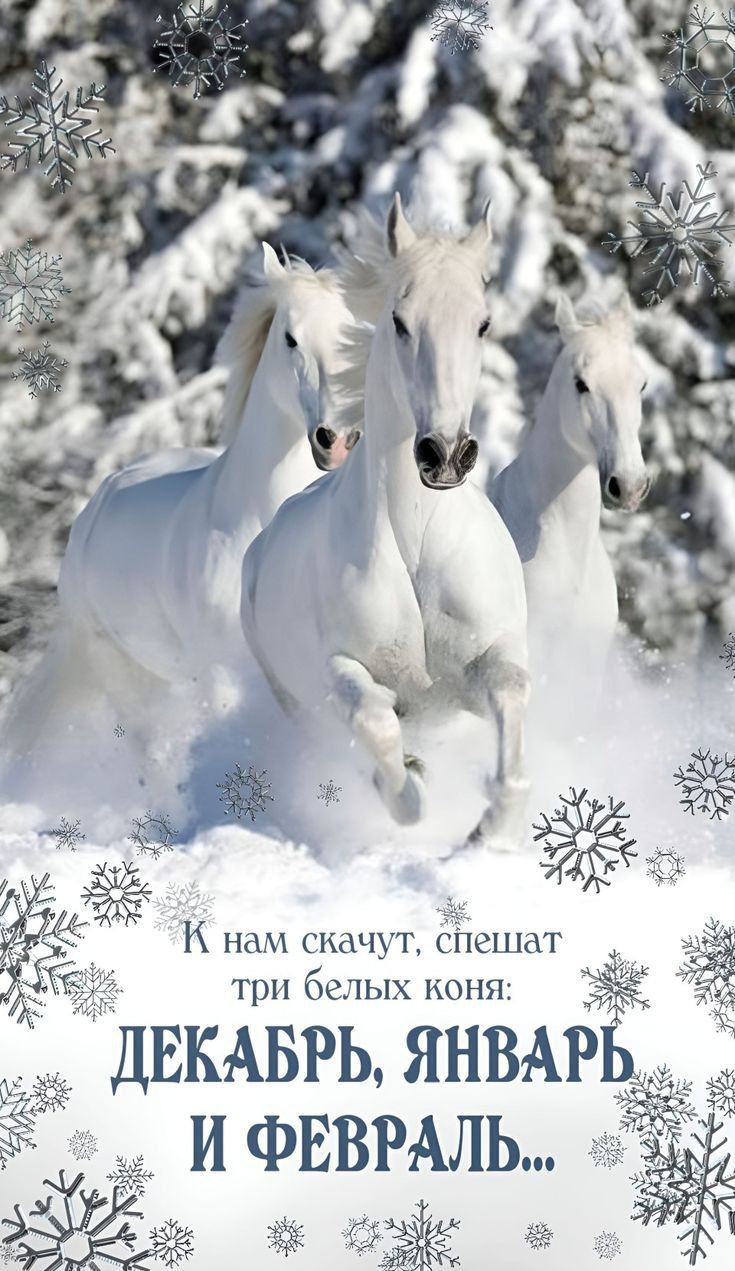 К нам скачут, спешат три белых коня: ДЕКАБРЬ, ЯНВАРЬ И ФЕВРАЛЬ...