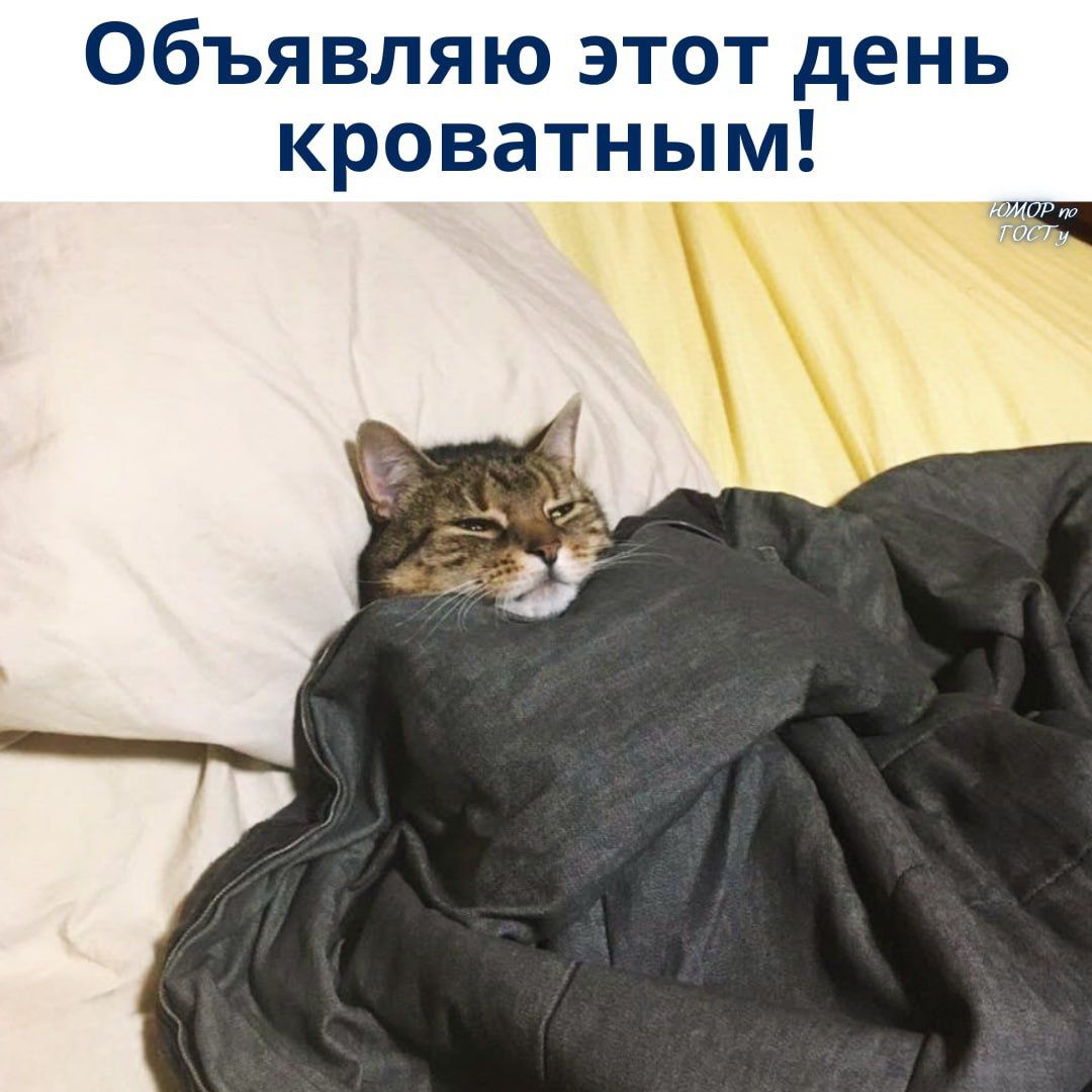 Объявляю этот день кроватным!