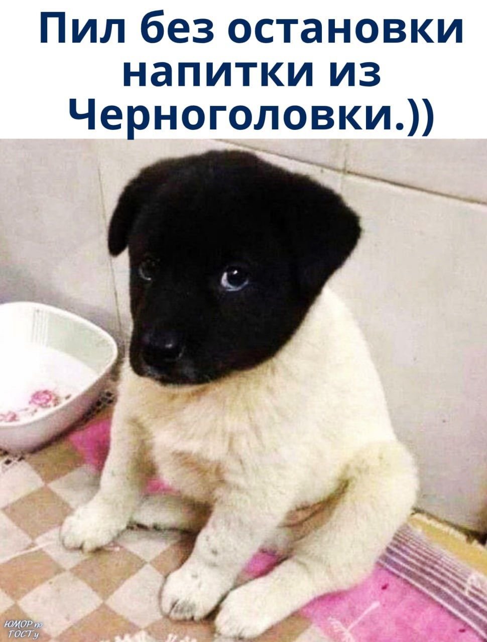 Пил без остановки напитки из Черноголовки.))