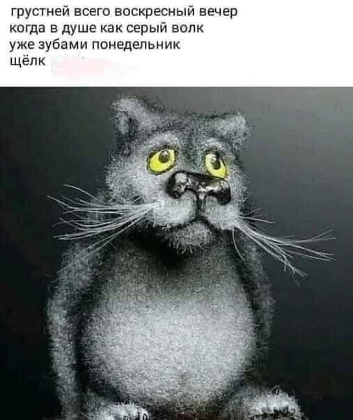 грустней всего воскресный вечер когда в душе как серый волк уже зубами понедельник щёлк
