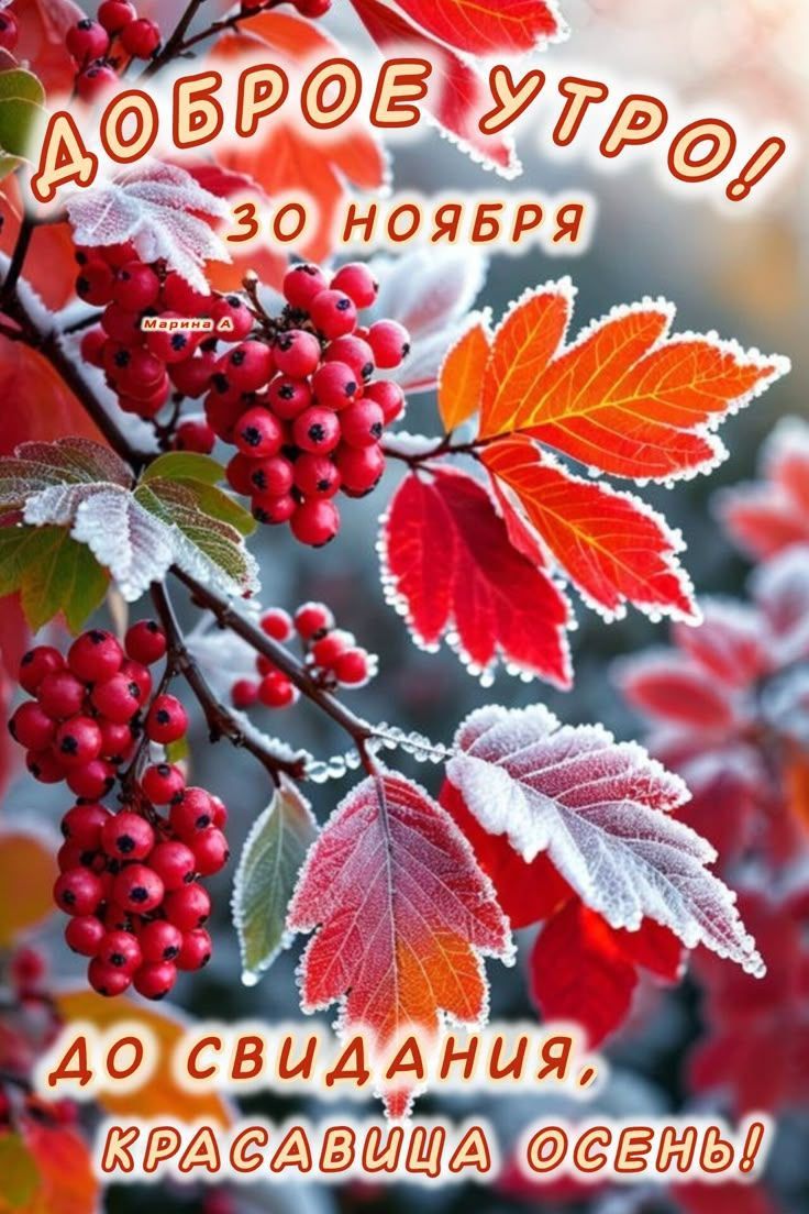 Доброе утро! 30 ноября До свидания, красивая осень!