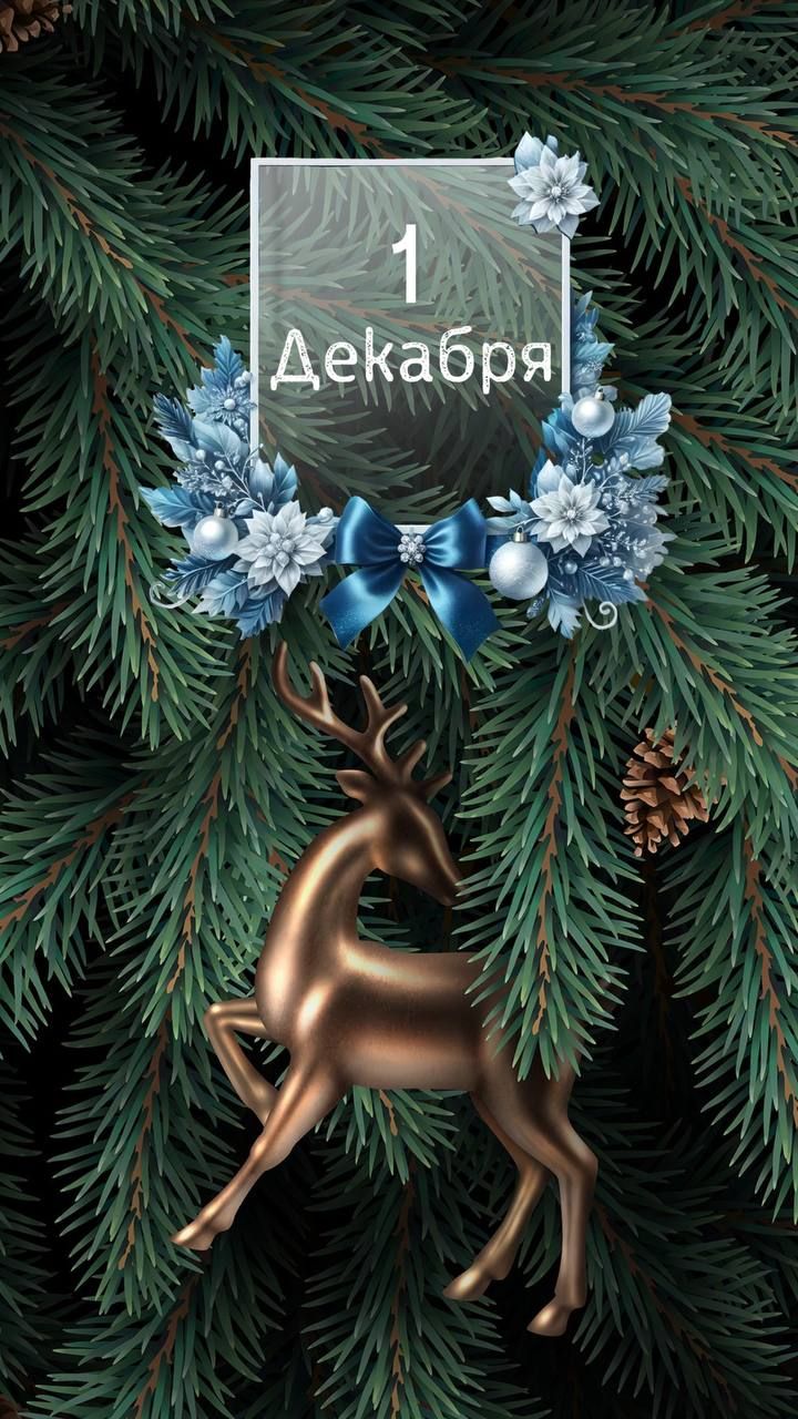 1 Декабря