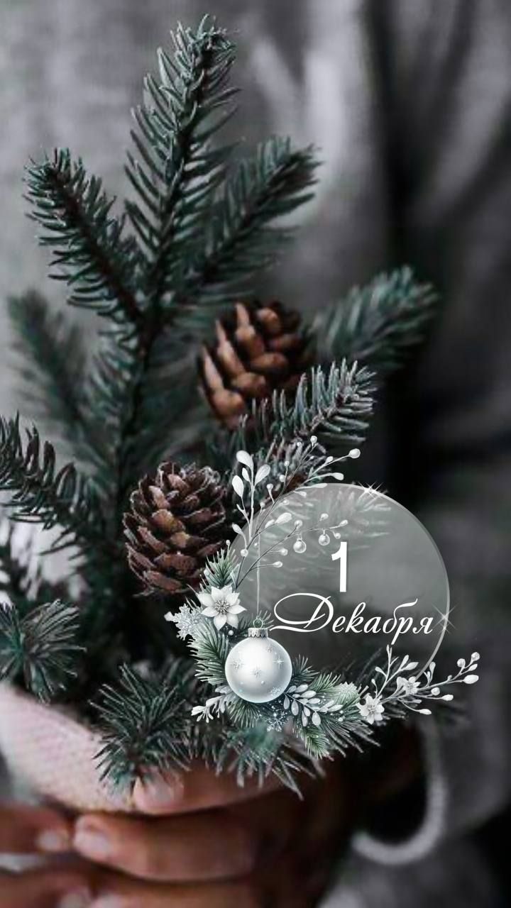 1 Декабря