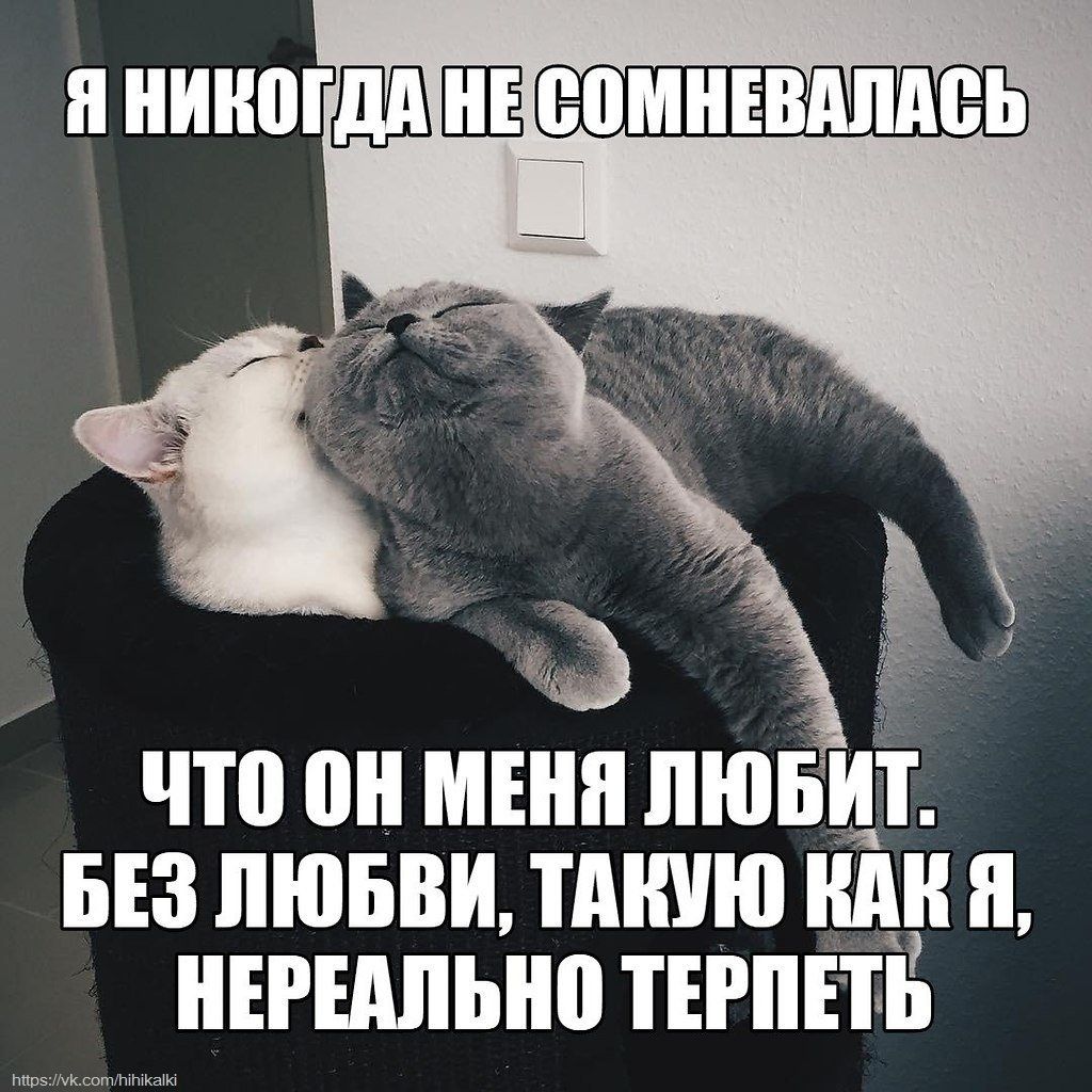 Я НИКОГДА НЕ СОМНЕВАЛАСЬ, ЧТО ОН МЕНЯ ЛЮБИТ. БЕЗ ЛЮБВИ, ТАКУЮ КАК Я, НЕРЕАЛЬНО ТЕРПЕТЬ