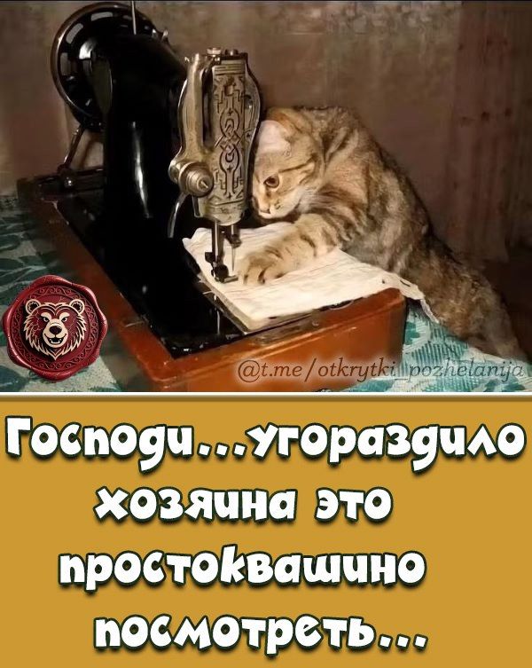 Господи... угодило хозяина это простоквашино посмотреть...