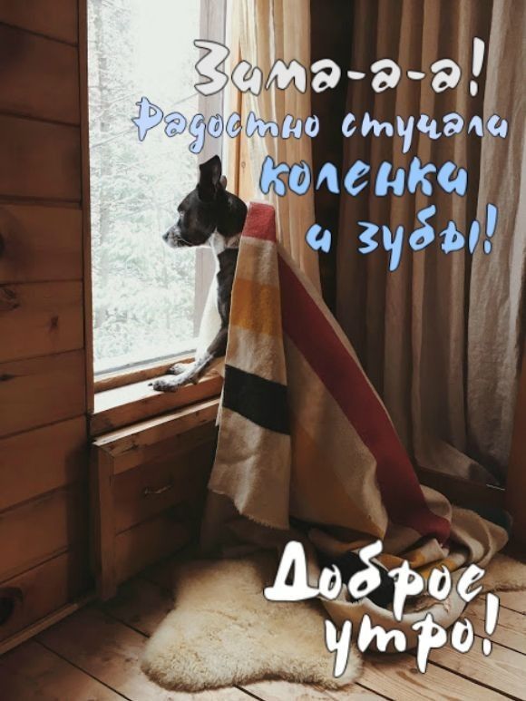 Зима-а-а! Радостной студии коленки и зубы! Доброе утро!