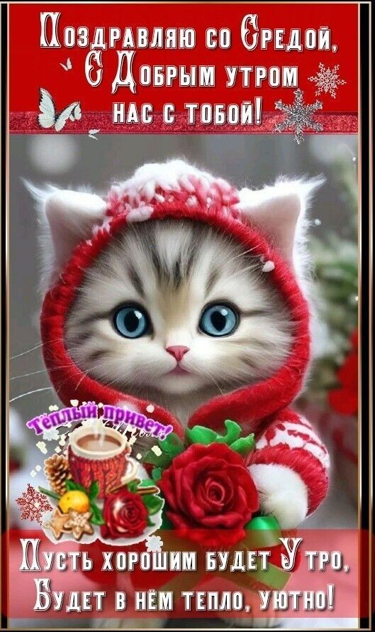 Поздравляю со средой, с добрым утром нас с тобой! Пусть хорошим будет утро, будет в нём тепло, уютно!