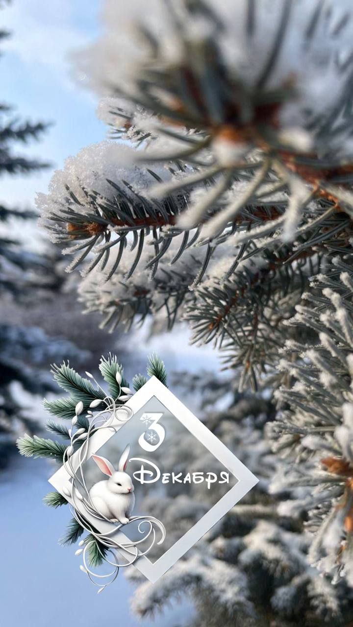 3 Декабря