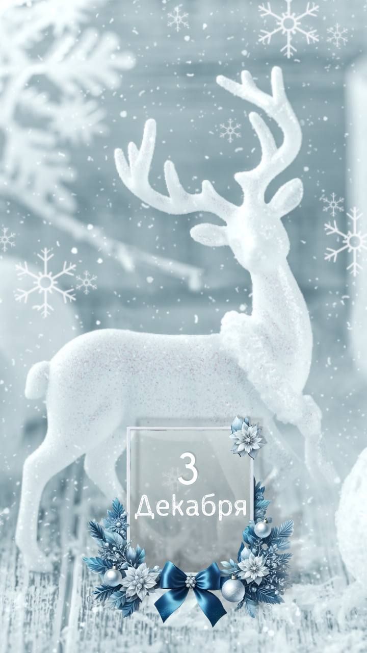 3 Декабря