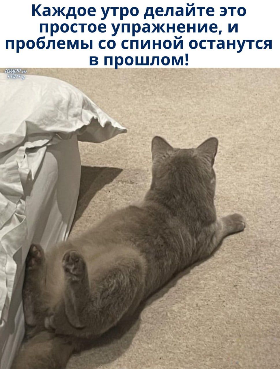 Каждое утро делайте это простое упражнение, и проблемы со спиной останутся в прошлом!