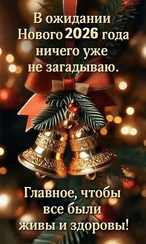 В ожидании Нового 2026 года ничего уже не загадиваю. Главнее, чтобы все были живы и здоровы!
