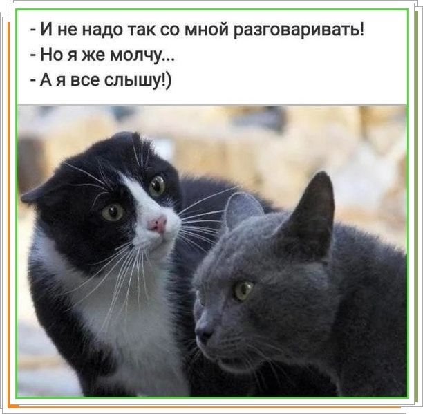 - И не надо так со мной разговаривать!
- Но я молчу...
- А я все слышу!)