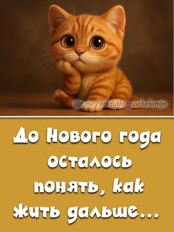 До Нового года осталось понять, как жить дальше...