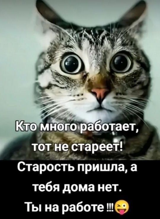 Кто много работает, тот не стареет! Старость пришла, а тебя дома нет. Ты на работе !!!