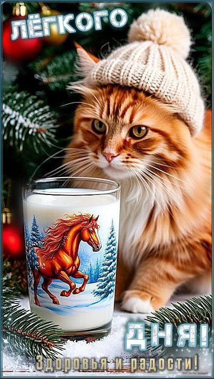 ЛЁГКОГО ДНЯ! Здоровья и радости!