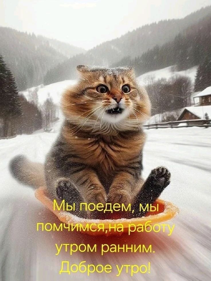 Мы поедем, мы помчимся, на работу утром раним. Доброе утро!