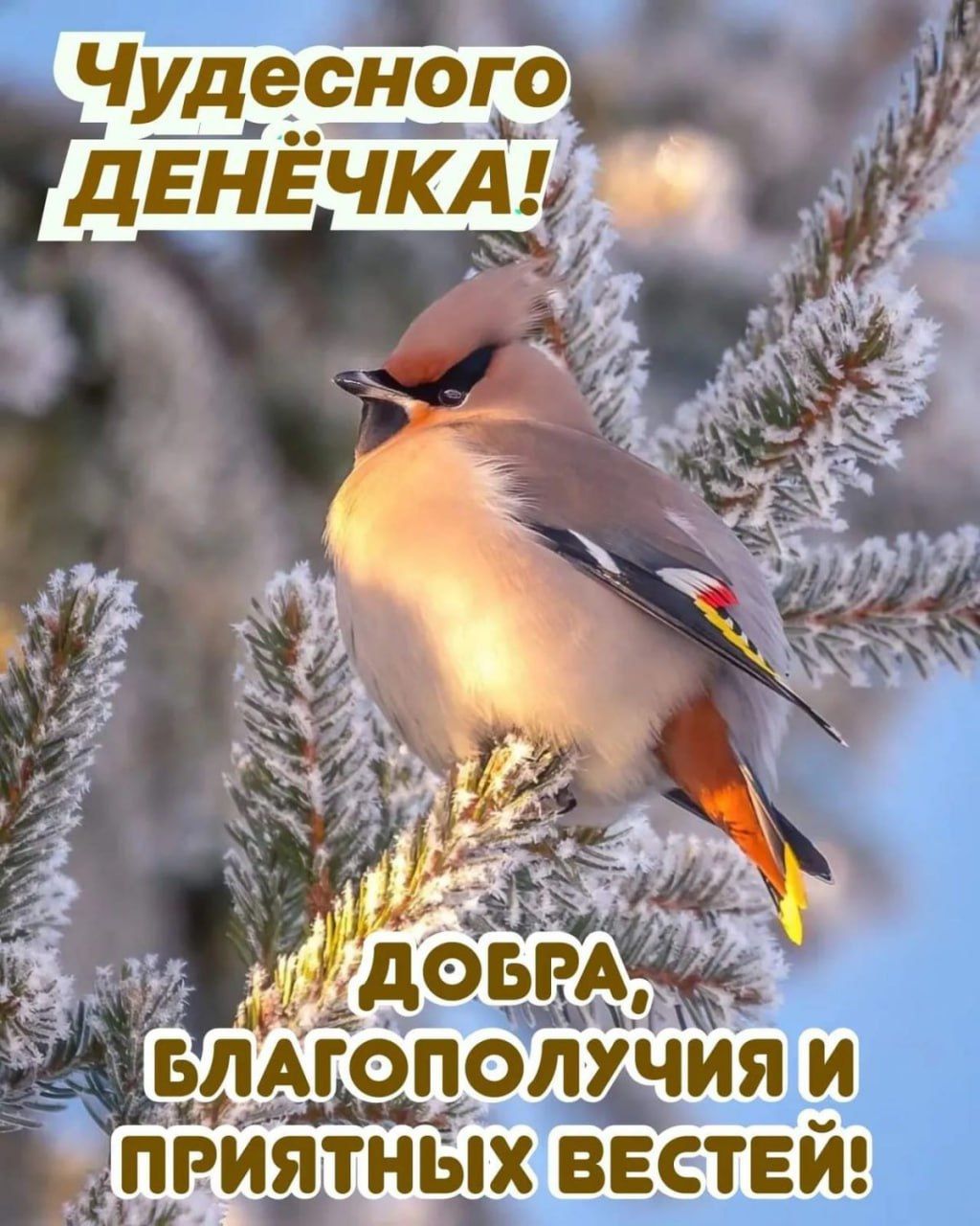Чудесного денёчка! Добра, благополучия и приятных вестей!