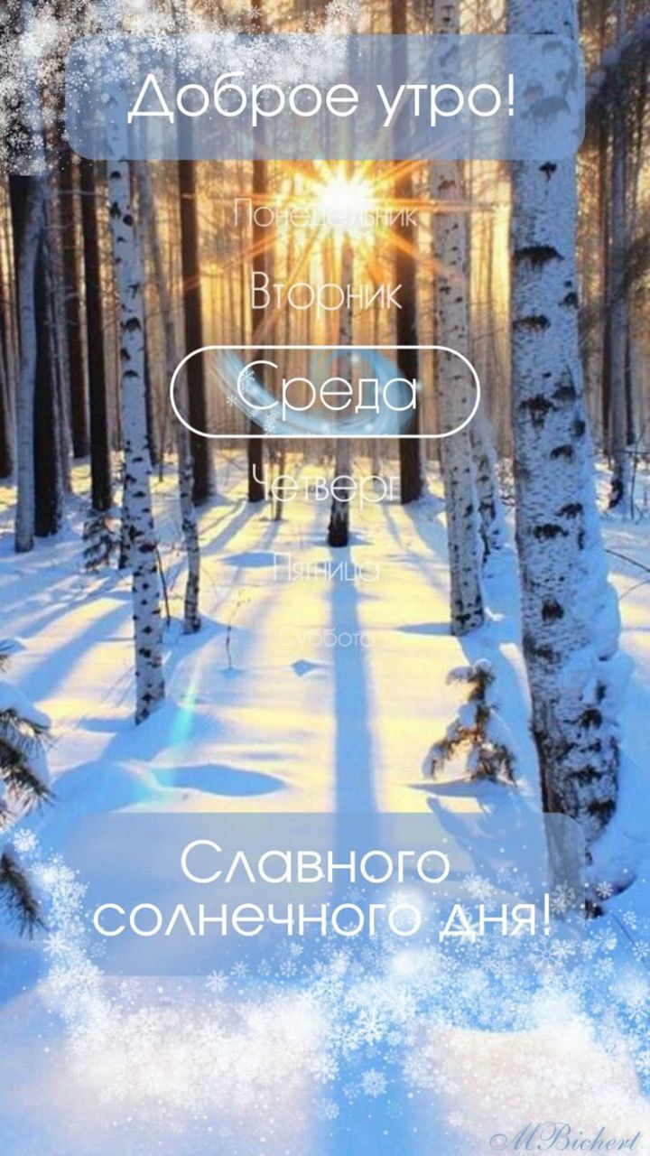 Доброе утро! Понедельник Вторник Среда Четверг Пятница Славного солнечного дня!