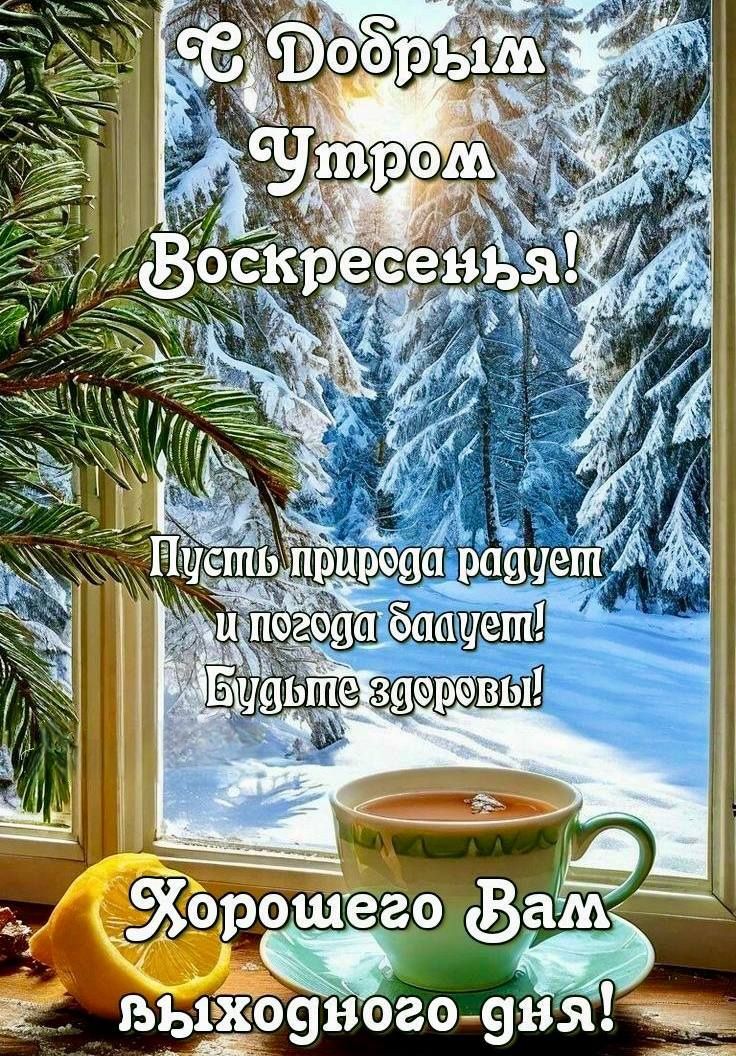 С Добрым утром Воскресенья! Пусть природа радует и погода балует! Будьте здоровы! Хорошего вам выходного дня!
