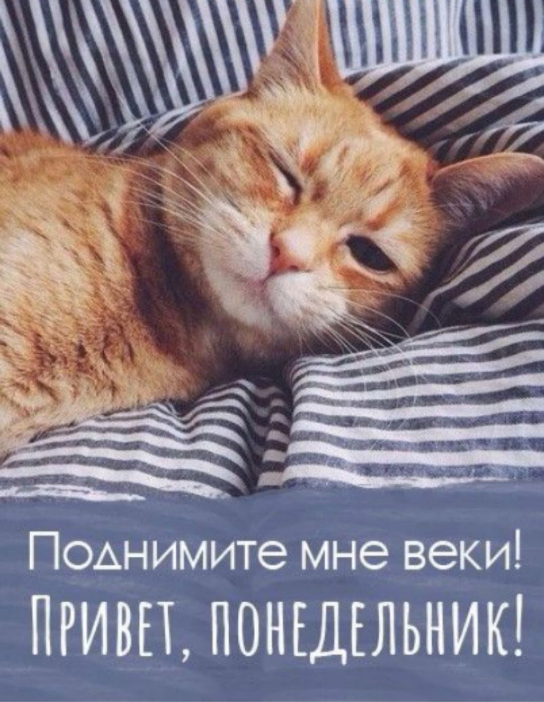 Поднимите мне веки! Привет, понедельник!