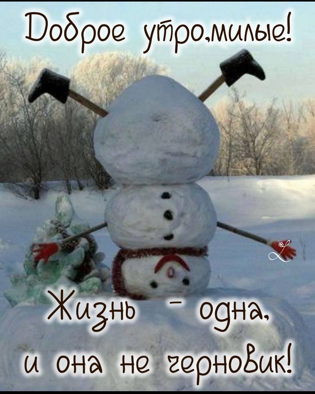 Доброе утро, милые!
Жизнь - одна, и она не греновик!