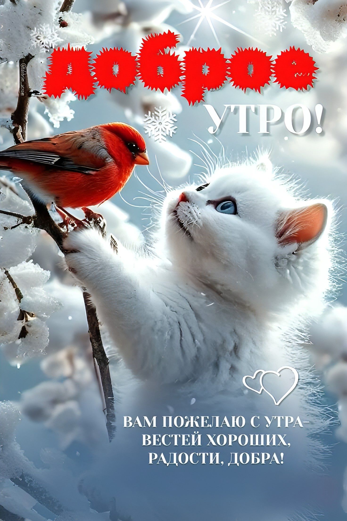 Добрoе утро! Вам желаю с утра добрых вести, радости и добра.