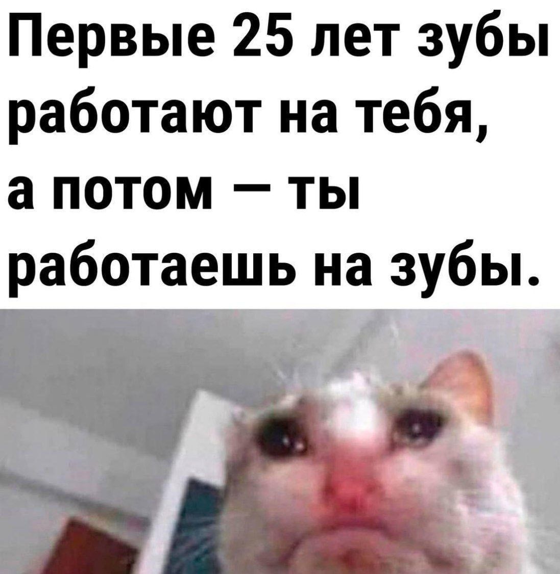 Первые 25 лет зубы работают на тебя, а потом – ты работаешь на зубы.