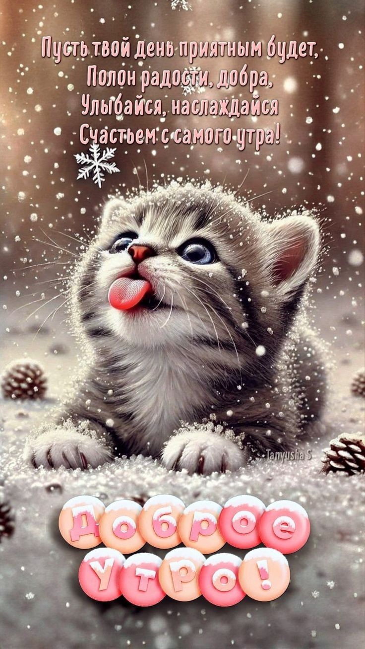 Пусть твой день приятным будет; Полон радостей, добра; Улыбайся, наслаждайся Счастьем с самого утра! Доброе утро!