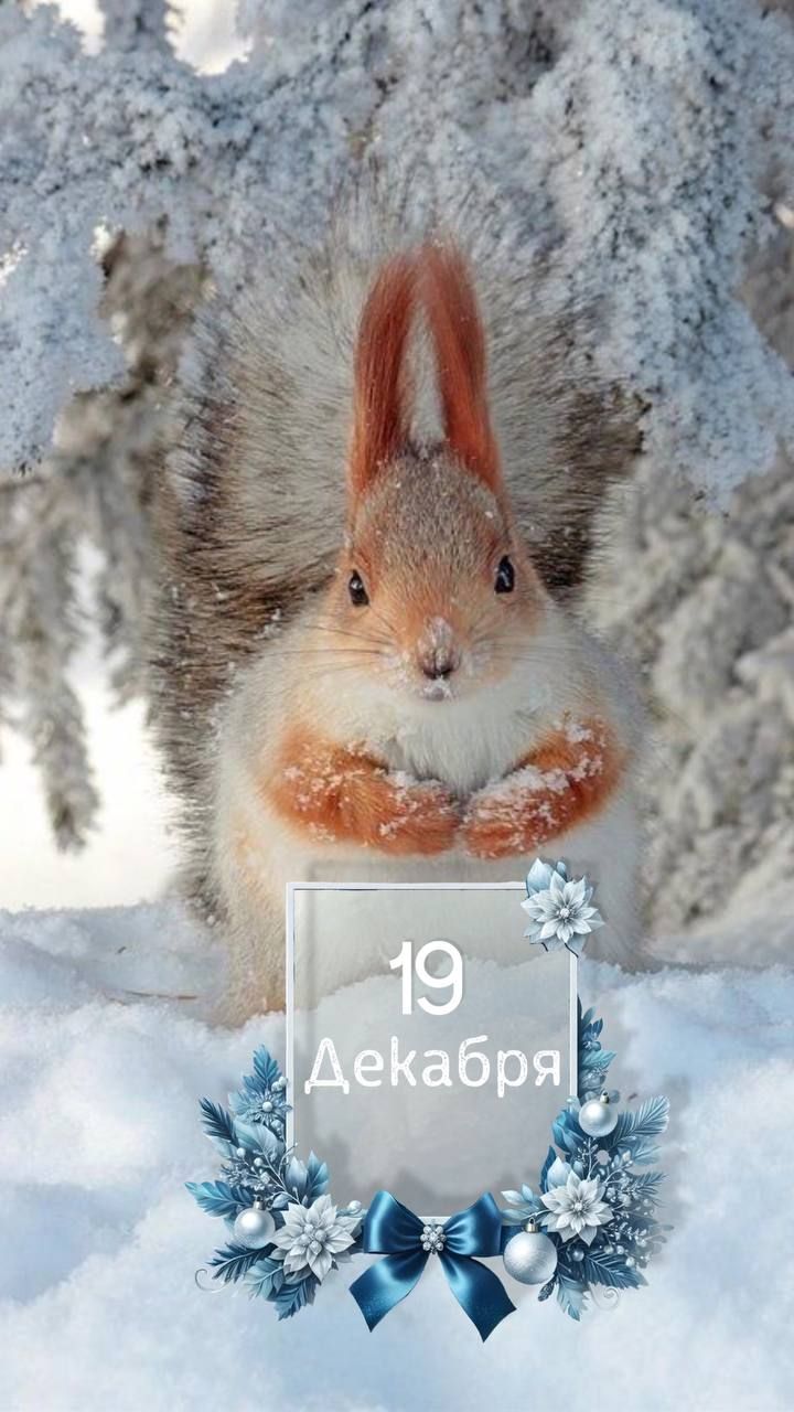 19 декабря