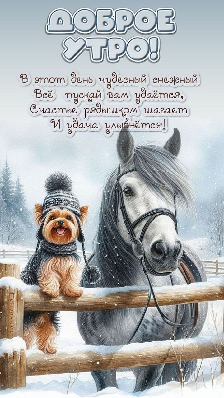 Доброе утро! В этот день чудесный и снежный. Всё пусть вам удаётся, счастье рядом шагает, и удача улыбнётся!