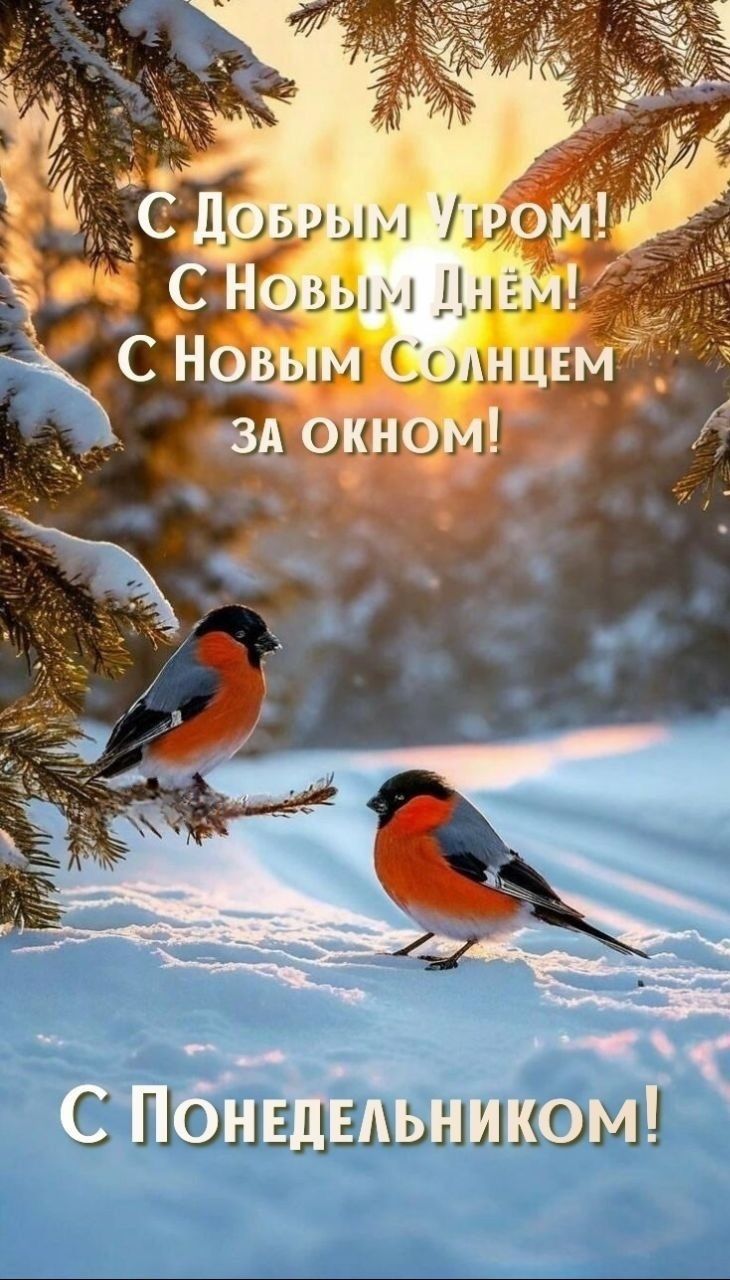 С Добрым Утром! С Новым Днём! С Новым Солнцем За окном! С Понедельником!