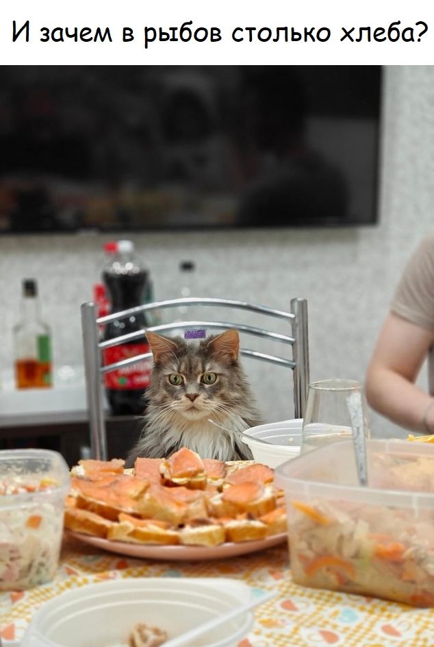 И зачем в рыбов столько хлеба?