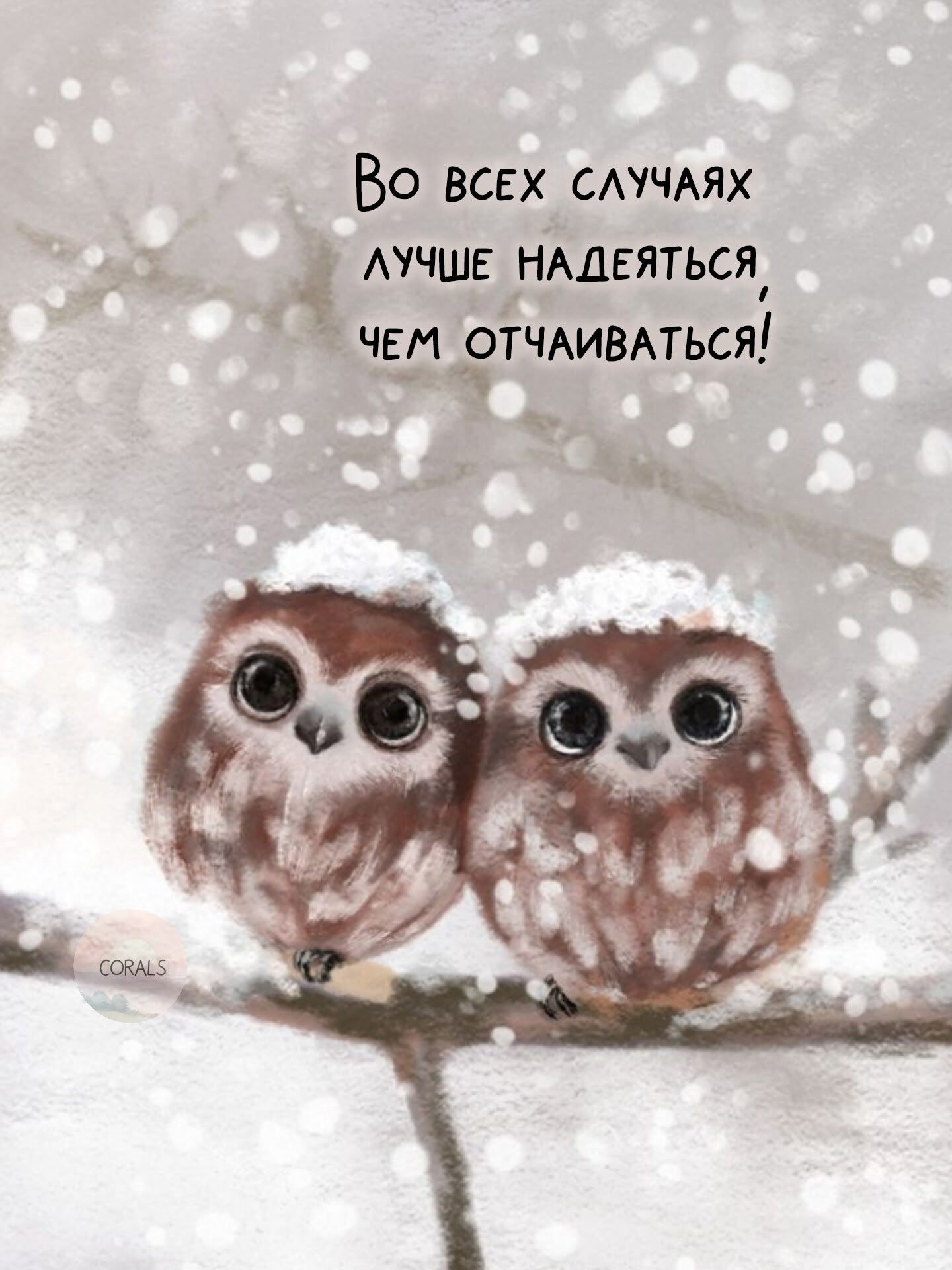 Во всех случаях лучше надеяться, чем отчаиваться!