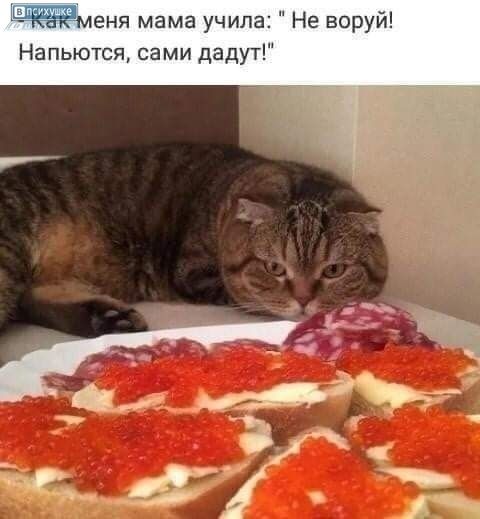 Как мама учила: 'Не воруй!' Напьются, сами дадут!