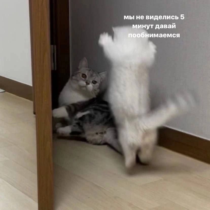 мы не виделись 5 минут давай пообнимаемся