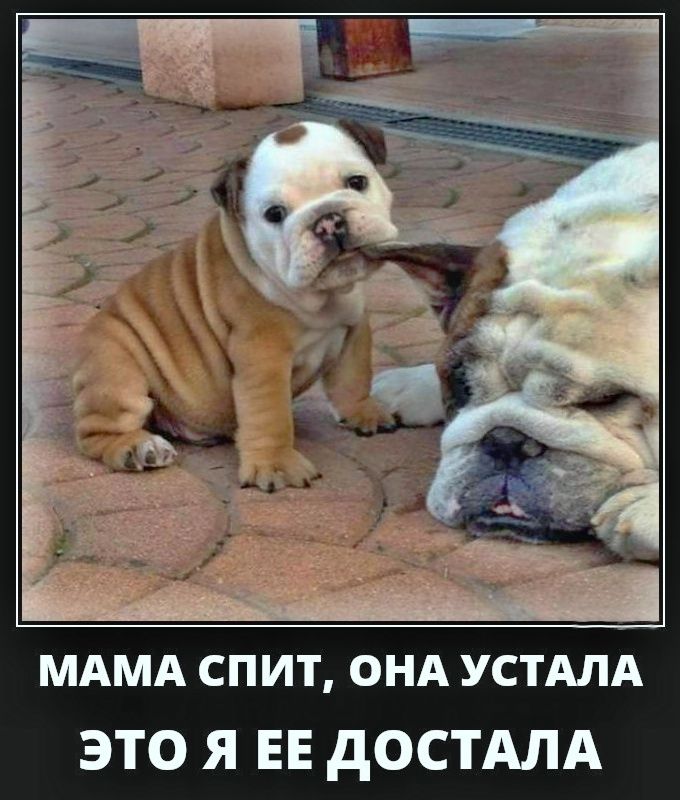 МАМА СПИТ, ОНА УСТАЛА ЭТО Я ЕЕ ДОСТАЛА