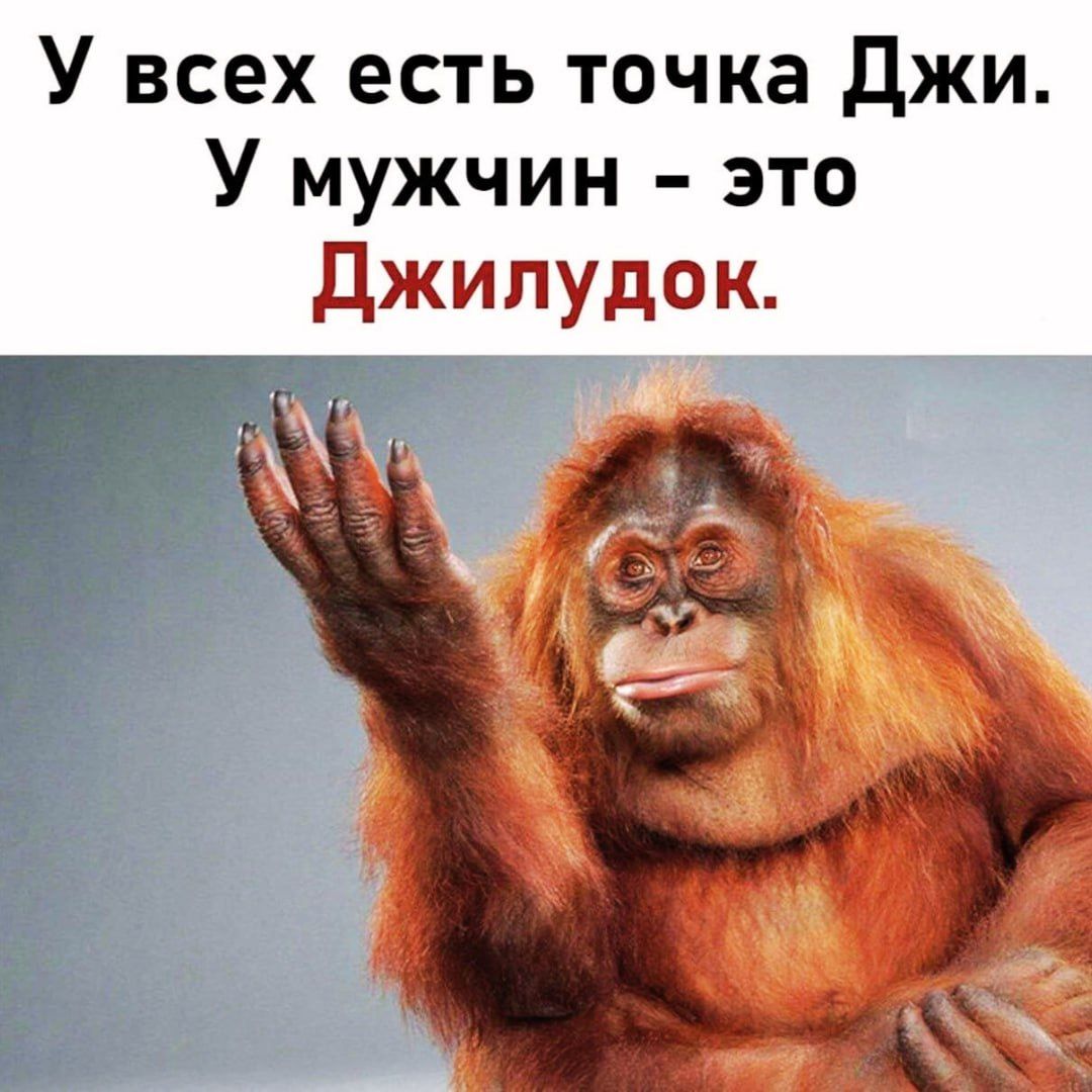 У всех есть точка Джи. У мужчин - это Джилудок.