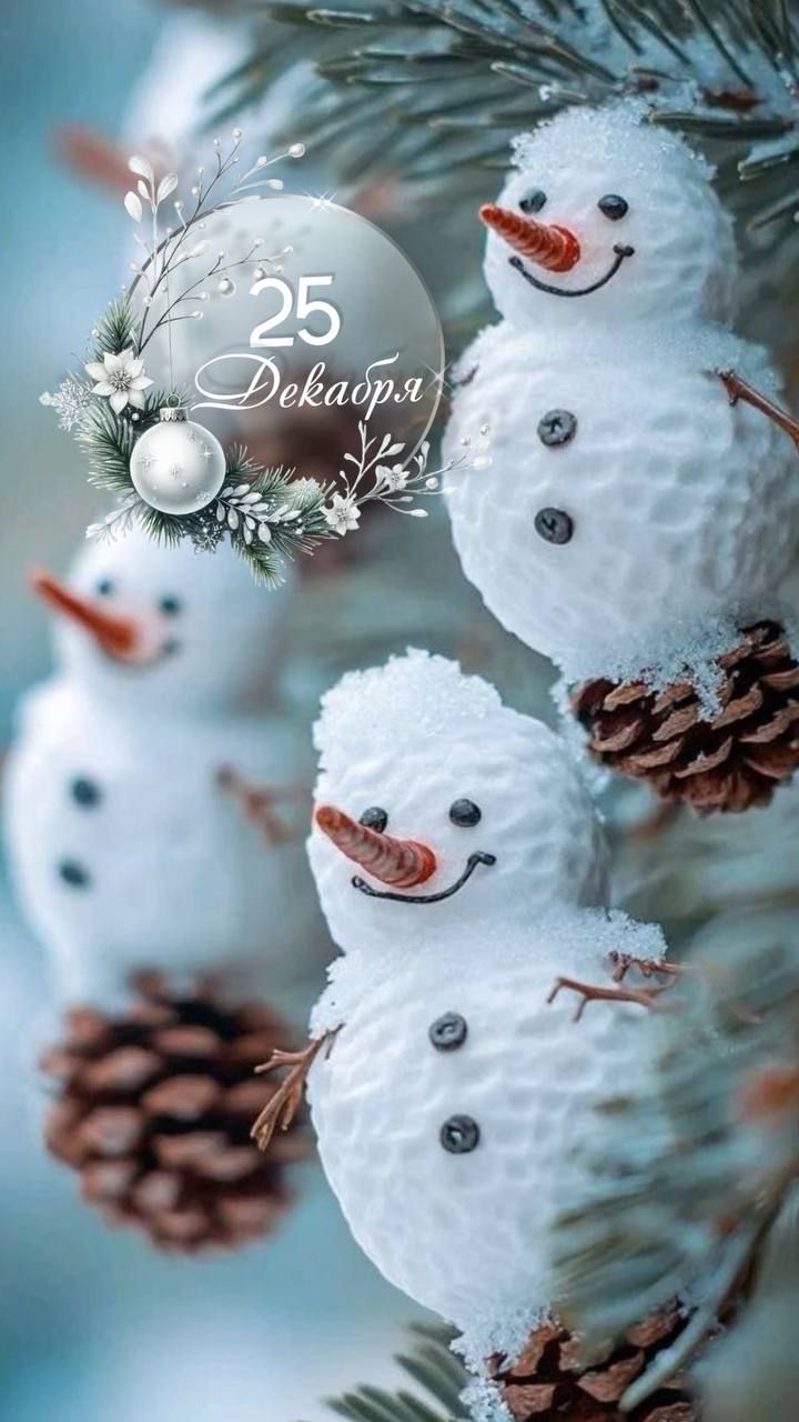 25 Декабря