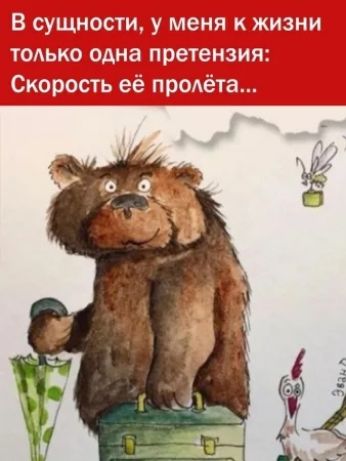 В сущности, у меня к жизни только одна претензия: Скорость её пролёта...