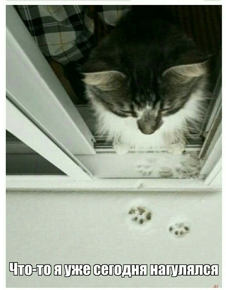 Что-то я уже сегодня набугался