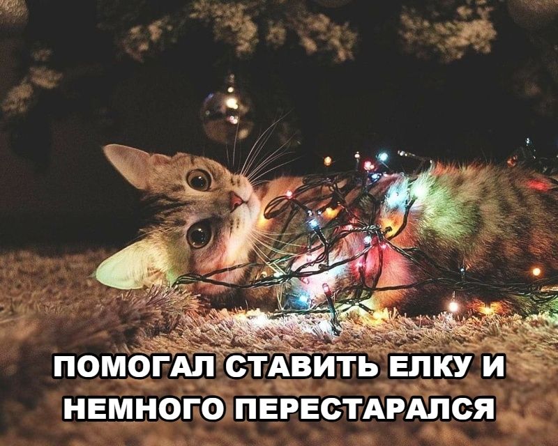 ПОМОГАЛ СТАВИТЬ ЕЛКУ И НЕМНОГО ПЕРЕСТАРАЛСЯ