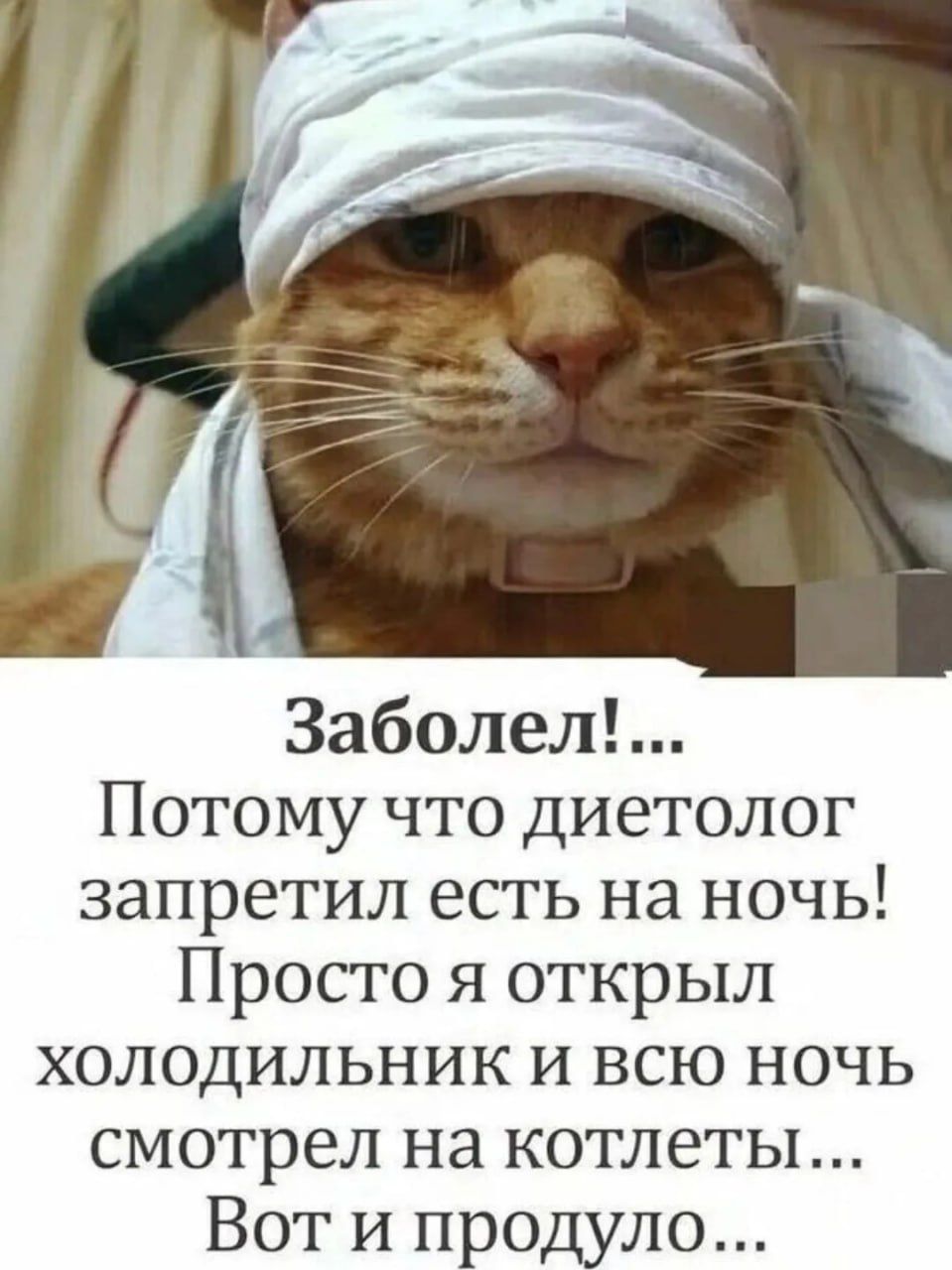 Заболел!... Потому что диетолог запретил есть на ночь! Просто я открыл холодильник и всю ночь смотрел на котлеты... Вот и продуло...