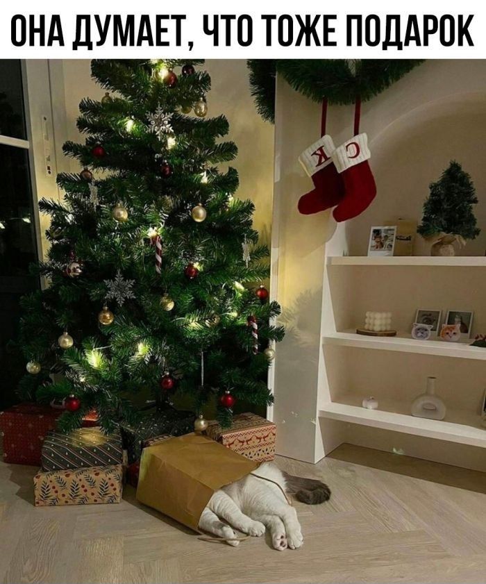 ОНА ДУМАЕТ, ЧТО ТОЖЕ ПОДАРОК